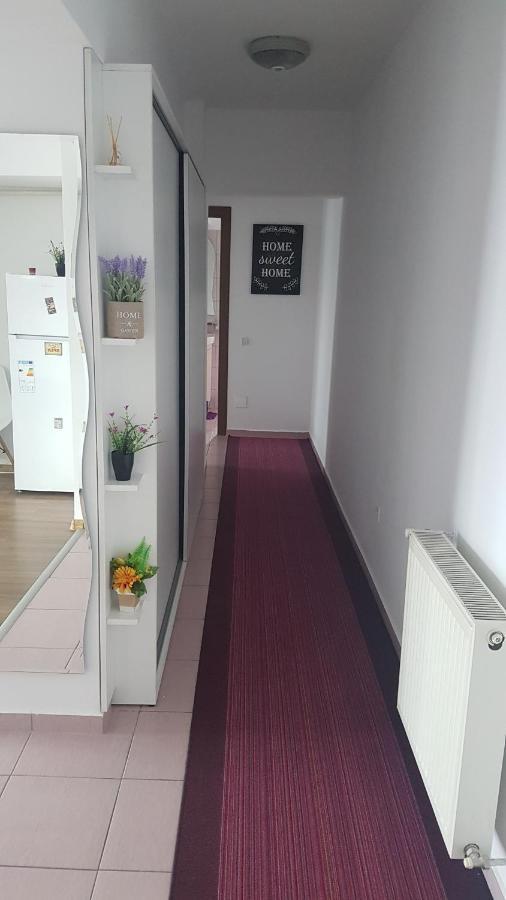 Relax 2 Central Apartment Bacau Bagian luar foto