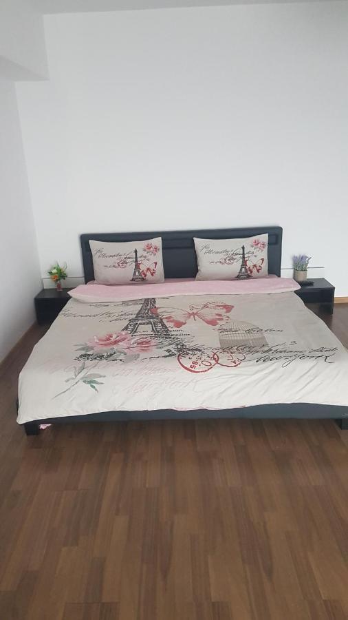 Relax 2 Central Apartment Bacau Bagian luar foto